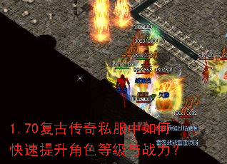 1.70���Ŵ���˽������ο���������ɫ�ȼ���ս����
