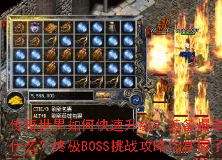 ����������ο���������װ�����������ؾ���ʲô���ռ�BOSS��ս��������������