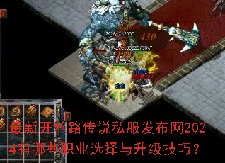 ���¿�˿·��˵˽��������2024����Щְҵѡ�����������ɣ�