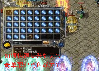 ��ο����������촫�浥ְҵ��ɫս����