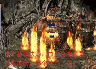 ����˽����ʦ��Ѫ�����滹�Ǽ���������ĸ�����������