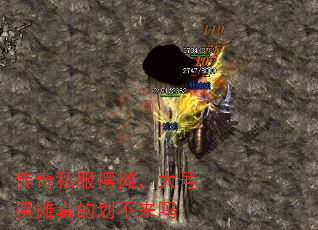 ����˽����̯����Ű�̯��Ļ�������