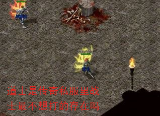 ��ʿ�Ǵ���˽����սʿ����Ĵ�����