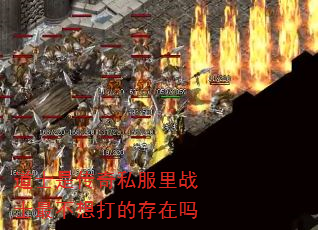 ��ʿ�Ǵ���˽����սʿ����Ĵ�����