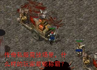 ����˽���������ʲô����������ܳưԣ�