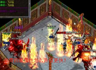 ��������������ô�������죿
