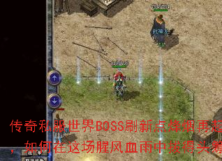 ����˽������BOSSˢ�µ��������������ⳡ�ȷ�Ѫ���аε�ͷ�