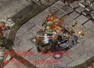 ����˽���У������β���Ѱ�ٵ����ǵİ��£�
