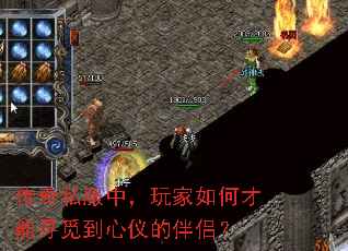 ����˽���У������β���Ѱ�ٵ����ǵİ��£�