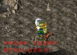 ����˽���У������β���Ѱ�ٵ����ǵİ��£�