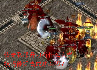 ����˽��������ʲô��ѧ��������߳ɹ�����