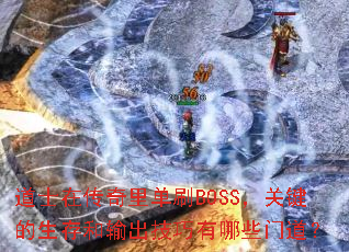 ��ʿ�ڴ����ﵥˢBOSS���ؼ�������������������Щ�ŵ���