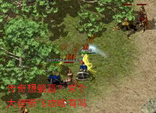 ��������Ӯ��������д��ɹ�������