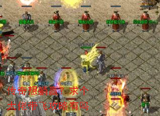 ��������Ӯ��������д��ɹ�������