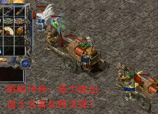 �ུ��棺���������ʿװ�����ѡ��
