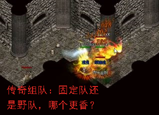 ������ӣ��̶��ӻ���Ұ�ӣ��ĸ����㣿
