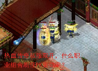 ��Ѫ����˽��˫����ʲôְҵ���ˢ��PK��Ч�ʣ�