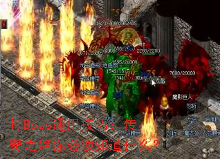 ��Bossͨ�ü��ɣ�����֮·�����֪��ʲô��