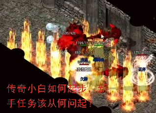 ����С������𲽣���������ôӺ�����