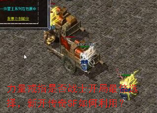 ������ָ�Ƿ�սʿ�������ѡ���¿�����SF������ã�