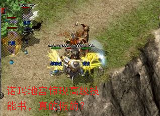 ŵ��ع����ָ߼������飬��ļٵģ�