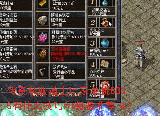 ����˽����ʿ��ҵ���BOSS��ʲô���ɺ�װ���Ƽ���