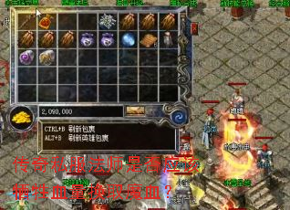 ����˽����ʦ�Ƿ�Ӧ������Ѫ����ȡħѪ��