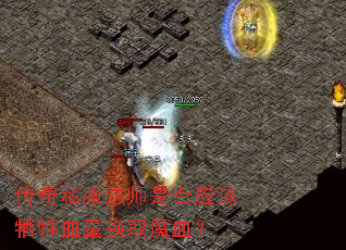 ����˽����ʦ�Ƿ�Ӧ������Ѫ����ȡħѪ��