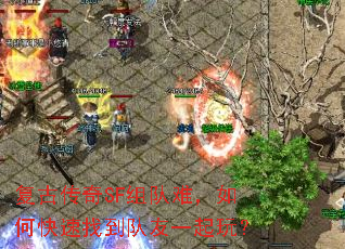 ���Ŵ���SF����ѣ���ο����ҵ�����һ���棿