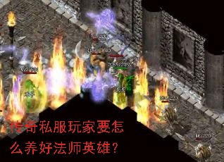 ����˽�����Ҫ��ô���÷�ʦӢ�ۣ�