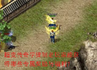 ���䴫��ѧͽ��������ܻ����Щר�������븣����