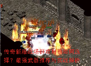 �����·�ս��Ⱥ���������ѡ����ǿ�����Ƽ���ʵս����