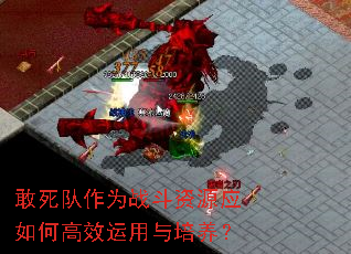 ��������Ϊս����ԴӦ��θ�Ч������������