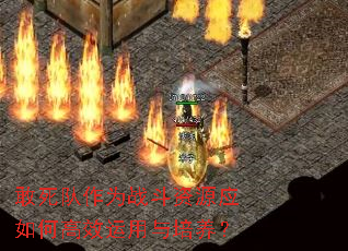 ��������Ϊս����ԴӦ��θ�Ч������������