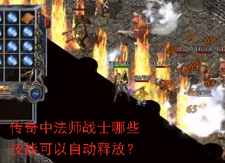 �����з�ʦսʿ��Щ���ܿ����Զ��ͷţ�
