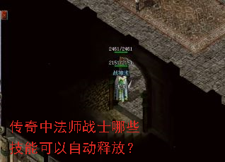 �����з�ʦսʿ��Щ���ܿ����Զ��ͷţ�