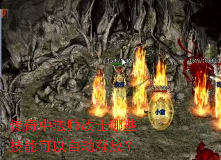 �����з�ʦսʿ��Щ���ܿ����Զ��ͷţ�