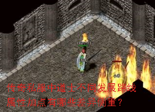 ����˽���е�ʿ��ͬ��չ·�����Լӵ�����Щ������أ�