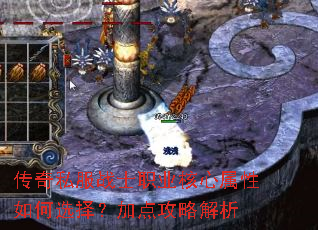 ����˽��սʿְҵ�����������ѡ�񣿼ӵ㹥�Խ���