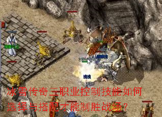 ��ѩ������ְҵ���Ƽ������ѡ������������ʤս����