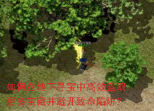 ����ڵ���Ѱ���и�Ч��ȡ���౦�ز��ܿ��������壿