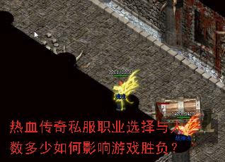 ��Ѫ����˽��ְҵѡ���������������Ӱ����Ϸʤ����