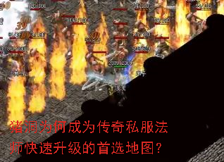 ����Ϊ�γ�Ϊ����˽����ʦ������������ѡ��ͼ��