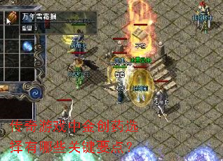 ������Ϸ�н�ҩѡ������Щ�ؼ�Ҫ�㣿