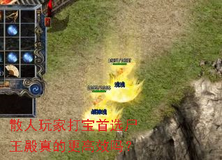 ɢ����Ҵ���ѡʬ������ĸ���Ч��