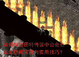 ��ν���ͼ�ش�˵�й���ֿ�����ر�����ʵ�ü��ɣ�