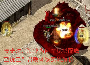���淨ʦְҵΪ�κ�������ӥ���������ٻ���ϵʵս����