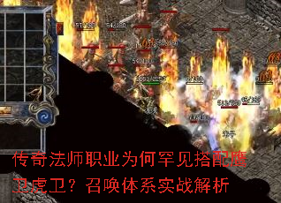 ���淨ʦְҵΪ�κ�������ӥ���������ٻ���ϵʵս����