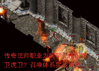 ���淨ʦְҵΪ�κ�������ӥ���������ٻ���ϵʵս����