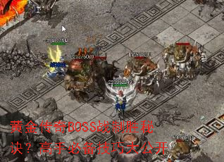 �ƽ���BOSSս��ʤ�ؾ������ֱر����ɴ󹫿�
